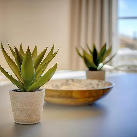 Immogroom - Magnificent 180m Duplex - Parking - Air Conditioning Διαμέρισμα Κάννες